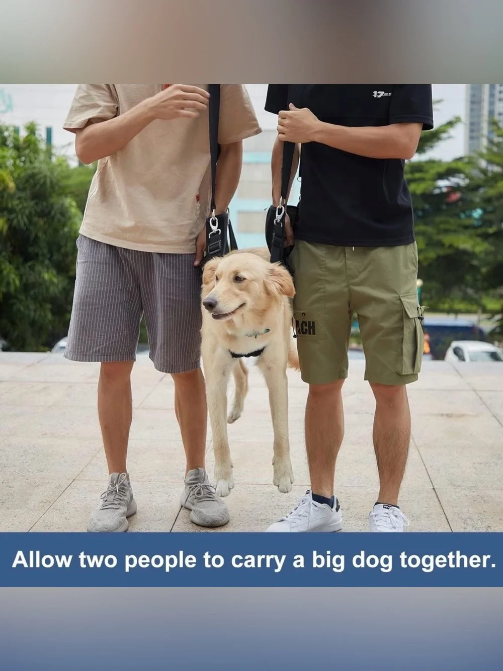 Codeo Dog Carry Sling, Emergency Backpack Pet Legs Support & Rehabilitation Dog